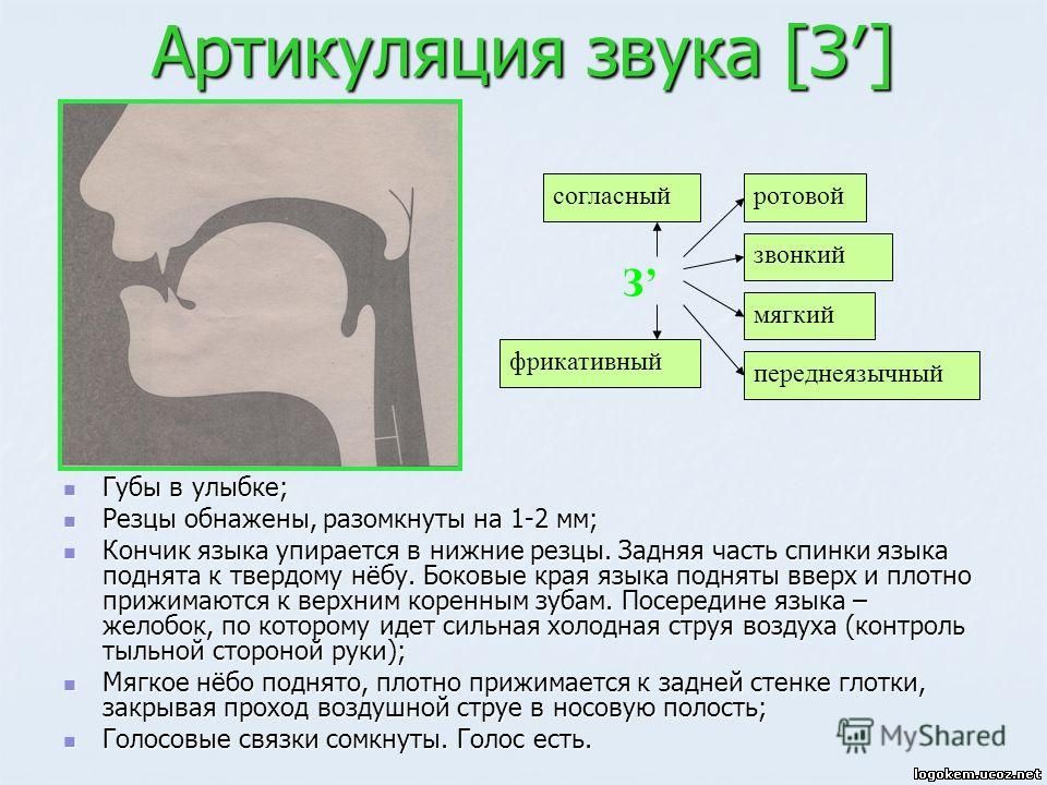 Персональный сайт учителя-логопеда Макаровой Евгении - Речевые профили
